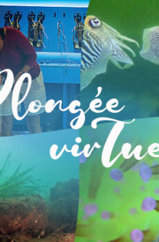 INSCRIPTION à la plongée virtuelle du 9 mars 2026