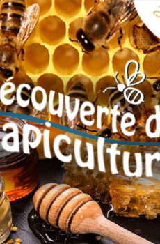INSCRIPTION à la découverte de l'apiculture du 4 juin 2026