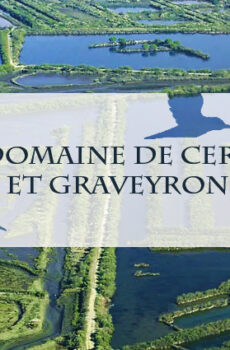 INSCRIPTION à la visite du domaine de Certes du 9 avril 2026